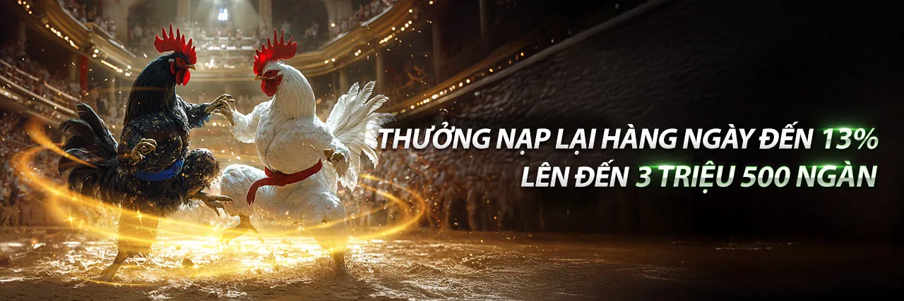 Trực tiếp đá gà Thomo 30/5 với không khí sôi động
